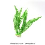 5月28日双色球开奖号码公布,彩民期待大奖花落谁家 3d0f7yvj