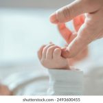 深度解析君豪娱乐的成功运营模式与策略 4nrtmquc0v