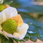 深度剖析鸿博国际网址背后的合规与安全机制要点全览 aje5v4