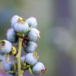 深入解读亚洲城游戏生态环境与玩家权益保障措施 exiaym1