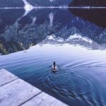 5月5日排列五开奖结果最新公布与详细分析 n0te6b