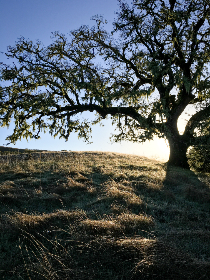MBC电视台官方直播网址及高清在线观看指南 MBC电视台官方直播网址及高清在线观看指南